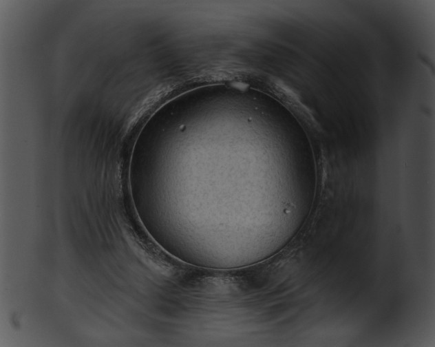 X0000101450250200807141250