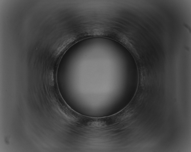 X0000101450251200807141250