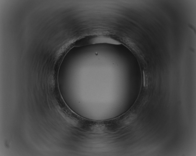 X0000101450252200807141250