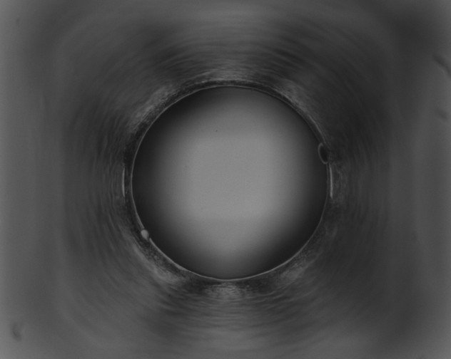 X0000101450253200807141250