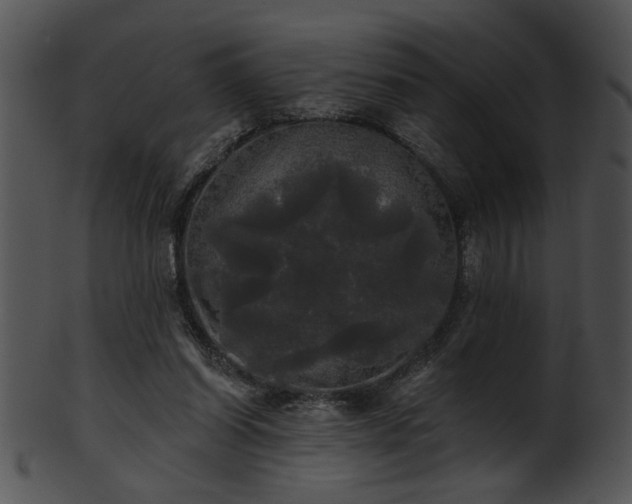 X0000101450254200807141250