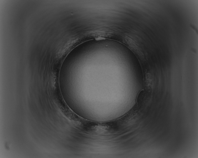 X0000101450255200807141250