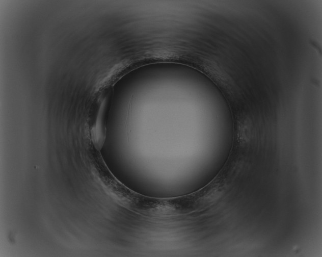 X0000101450256200807141250