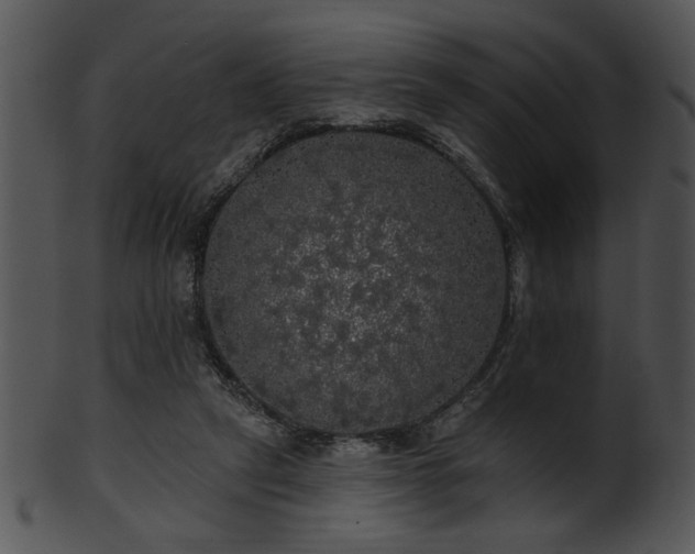 X0000101450257200807141250