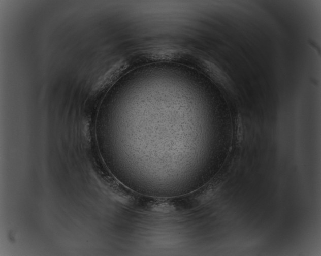 X0000101450258200807141250