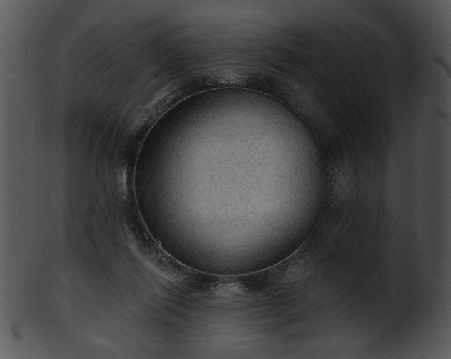 X0000101450262200807141250