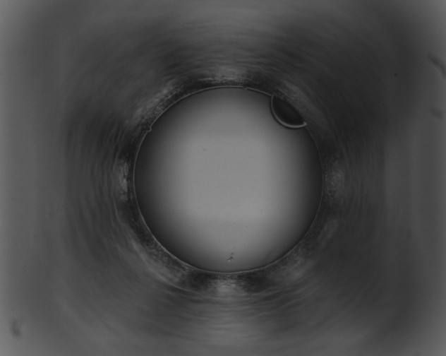 X0000101450264200807141250