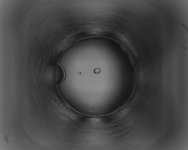 X0000101450265200807141250