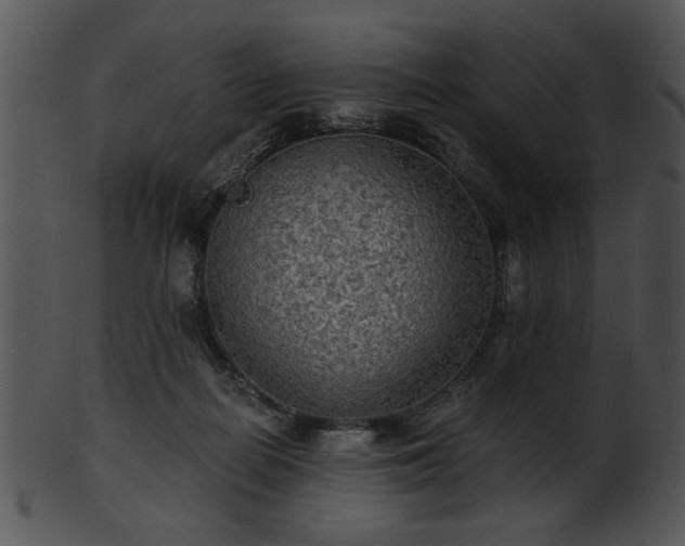 X0000101450266200807141250