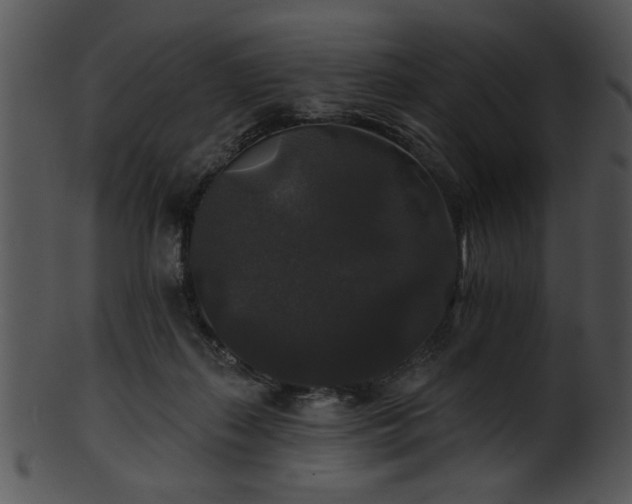 X0000101450267200807141250