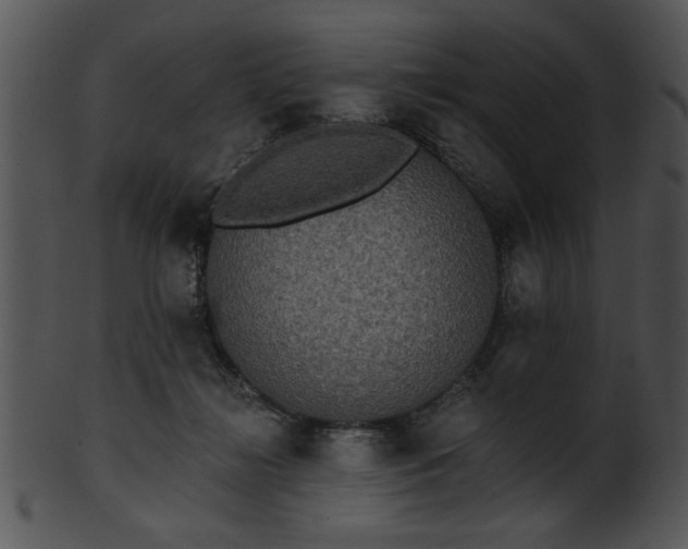 X0000101450268200807141250