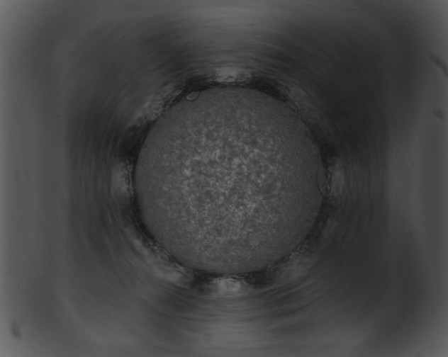 X0000101450272200807141250