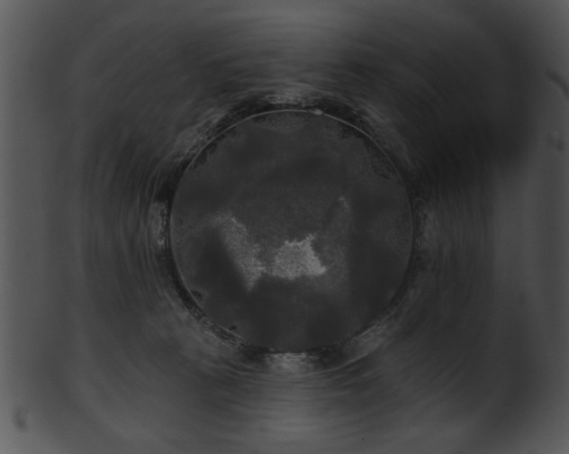 X0000101450273200807141250