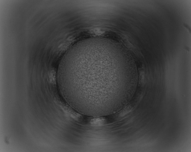 X0000101450274200807141250