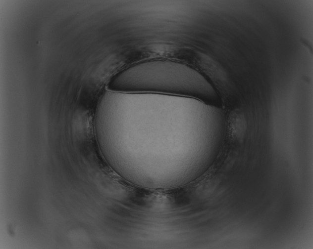 X0000101450276200807141250