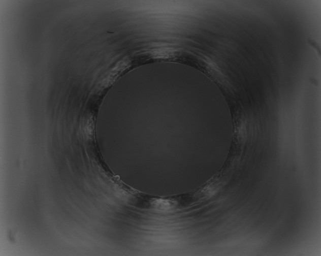 X0000101450277200807141250