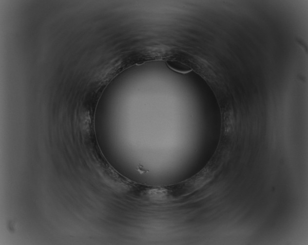 X0000101450279200807141250