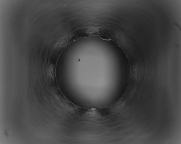 X0000101450280200807141250