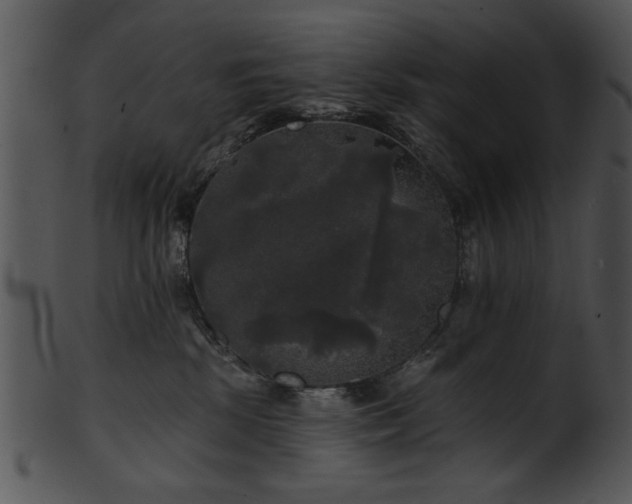 X0000101450281200807141250