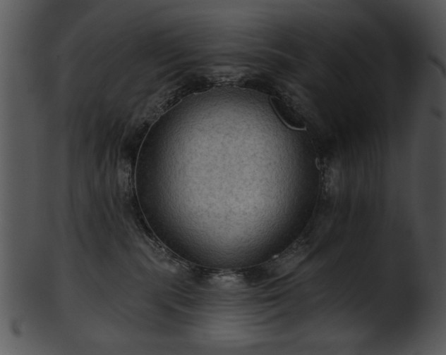 X0000101450283200807141251