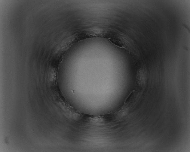 X0000101450284200807141251