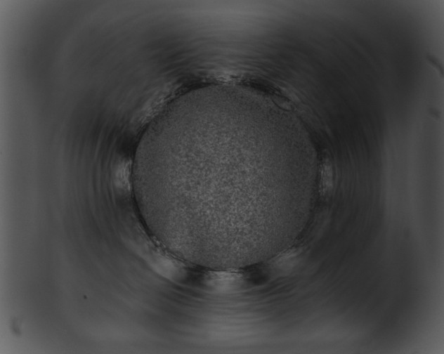 X0000101450286200807141251