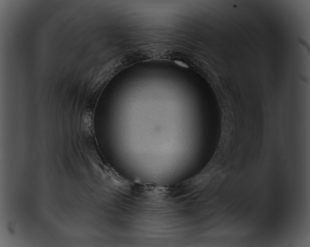 X0000101450288200807141251