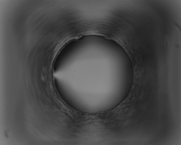 X0000101450289200807141250