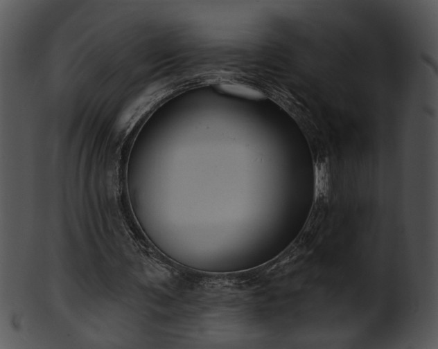 X0000101450291200807141250