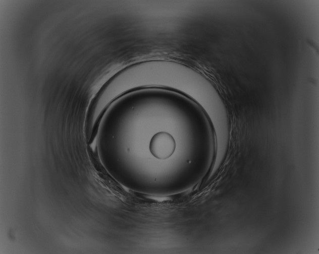 X0000101450292200807141250