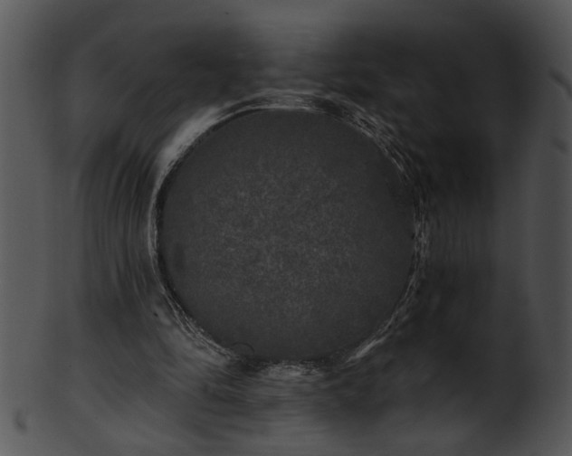 X0000101450294200807141250