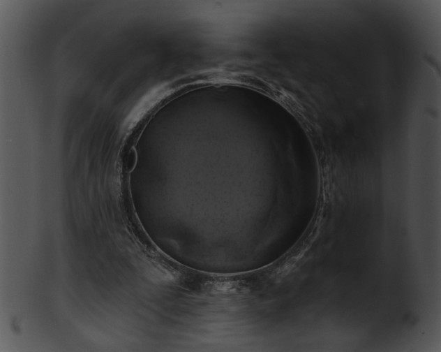 X0000101450295200807141250