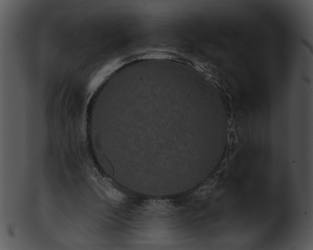 X0000101450296200807141250