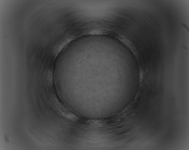 X0000101450297200807141250