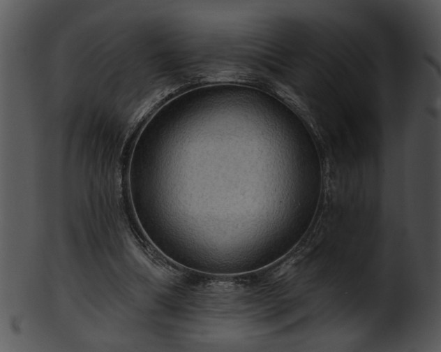 X0000101450298200807141250