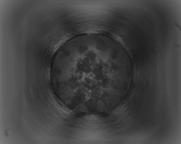 X0000101450299200807141250