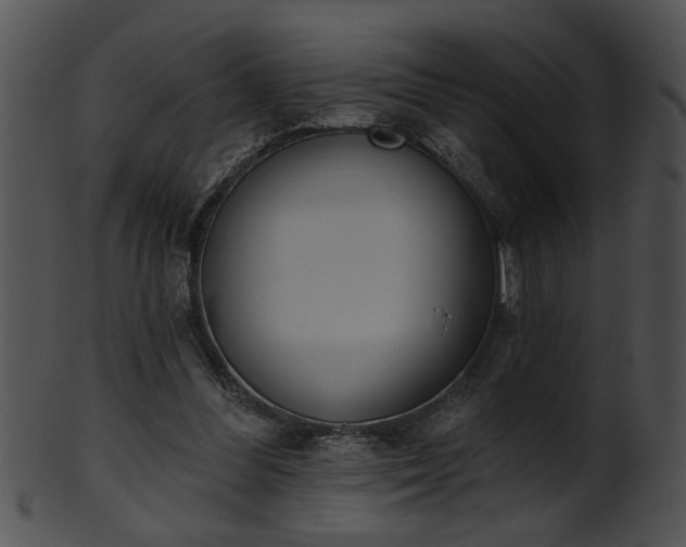 X0000101450300200807141250