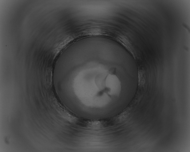 X0000101450301200807141250