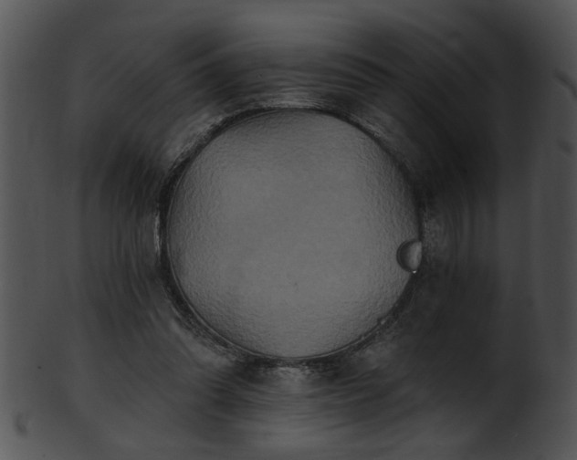 X0000101450302200807141250