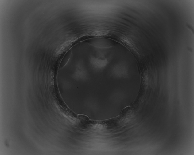 X0000101450303200807141250