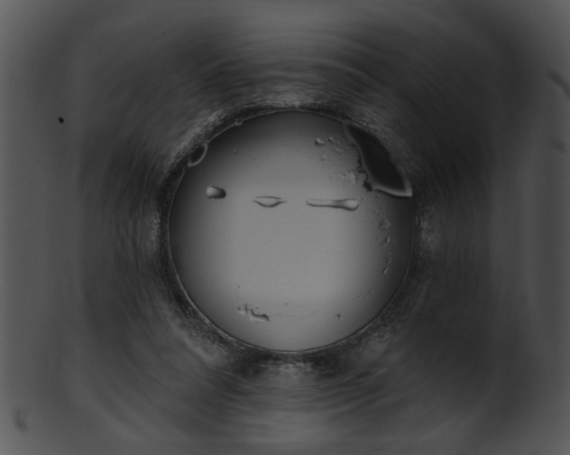 X0000101450304200807141250