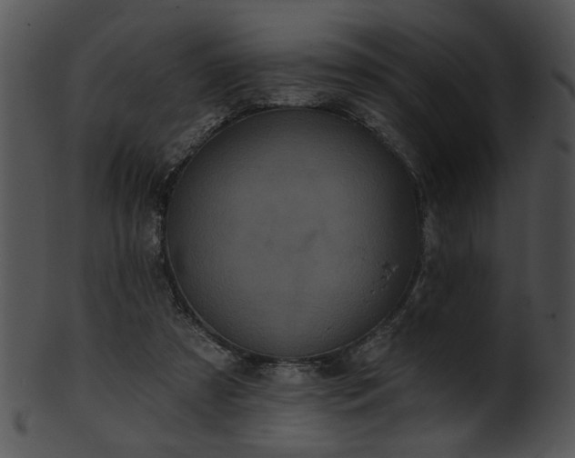 X0000101450305200807141250