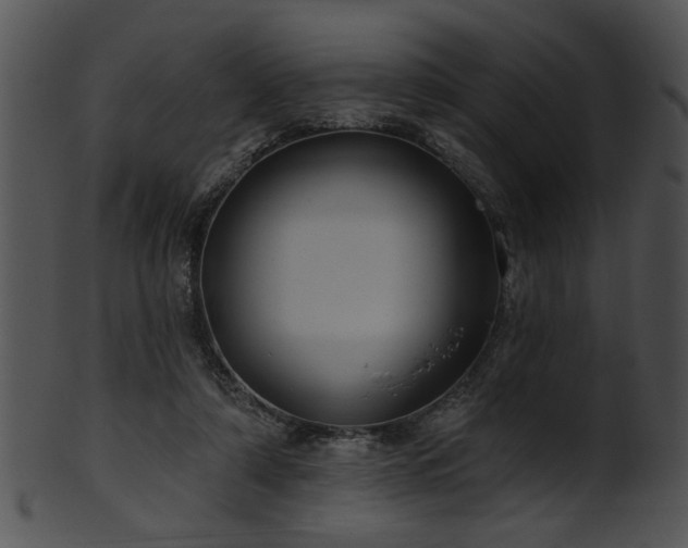 X0000101450306200807141250