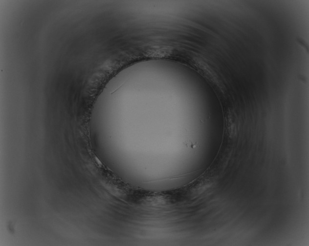 X0000101450307200807141250