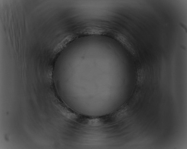 X0000101450309200807141250