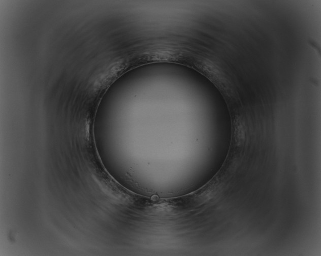 X0000101450310200807141250