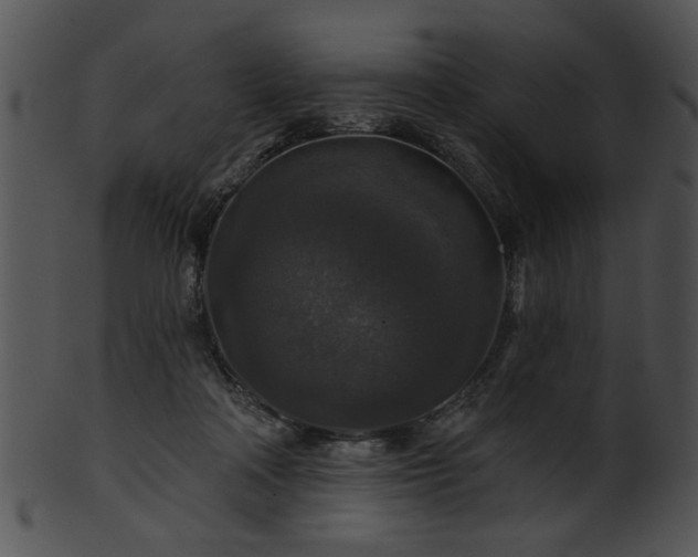 X0000101450314200807141250