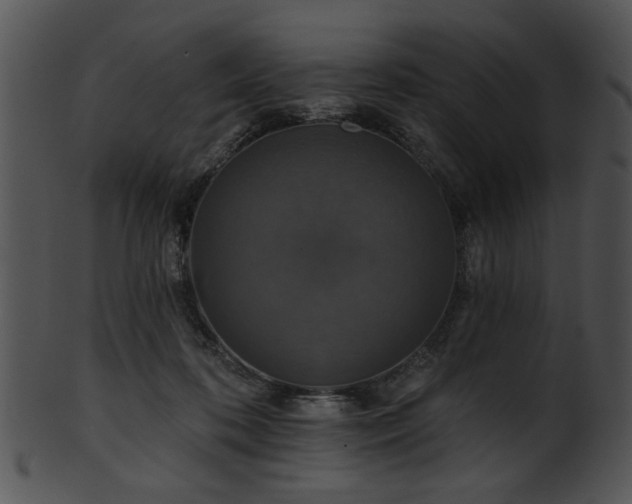 X0000101450316200807141250