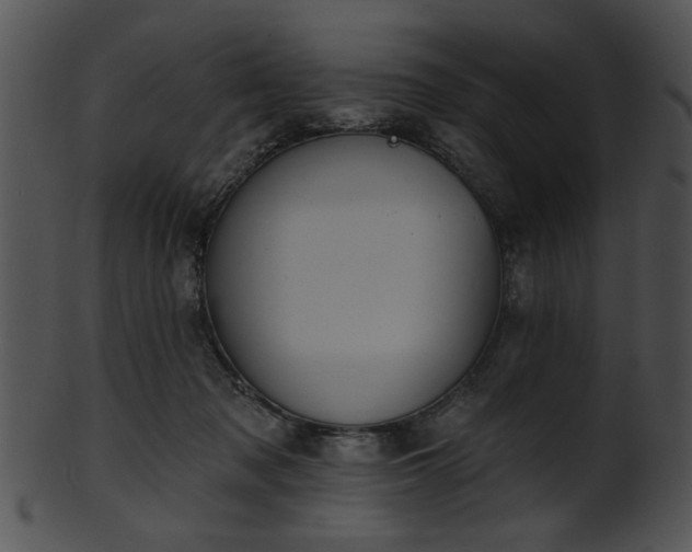 X0000101450317200807141250