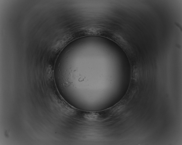 X0000101450318200807141249